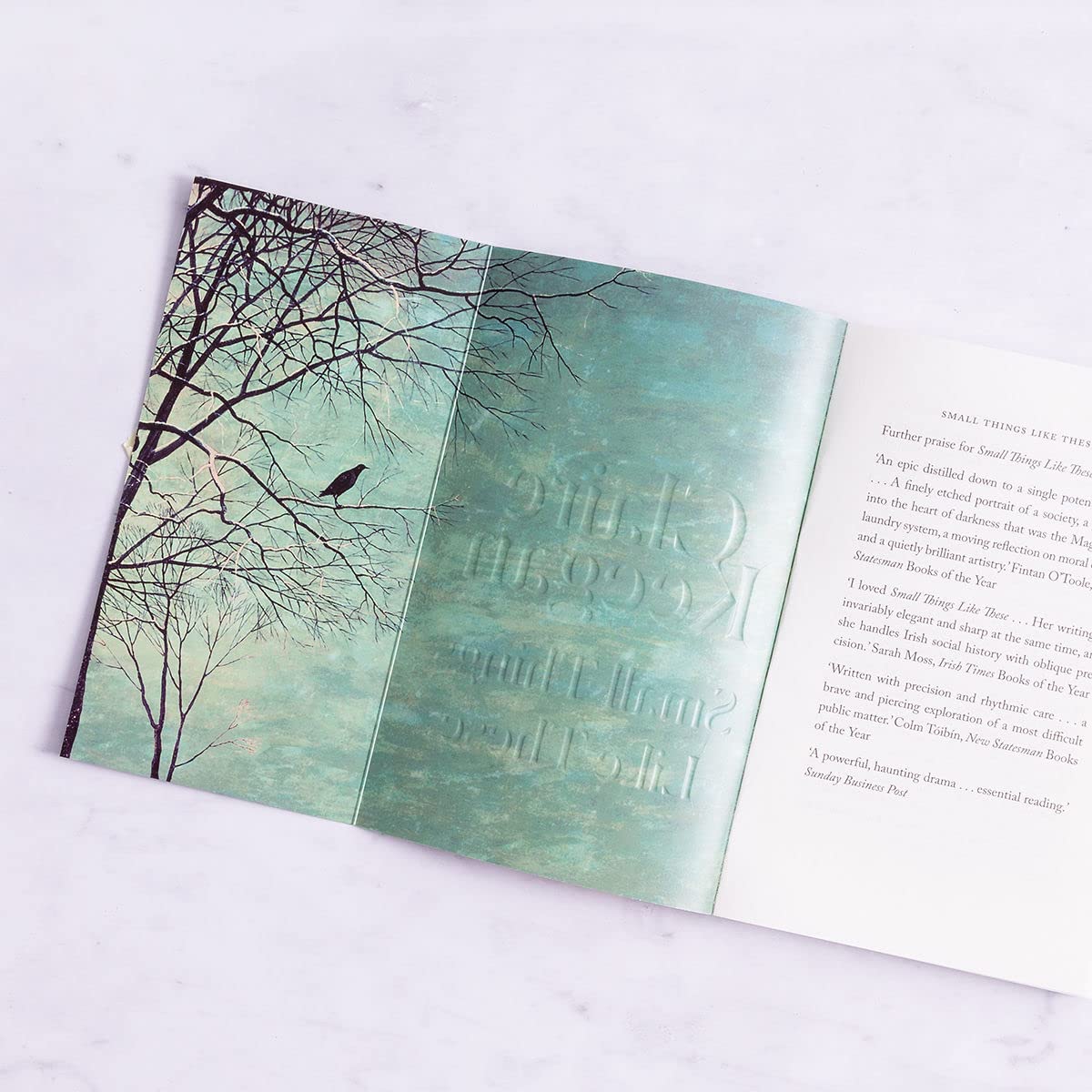 71tcaxiqsll. sl1200 .jpg 71tcaxiqsll. sl1200 .jpg